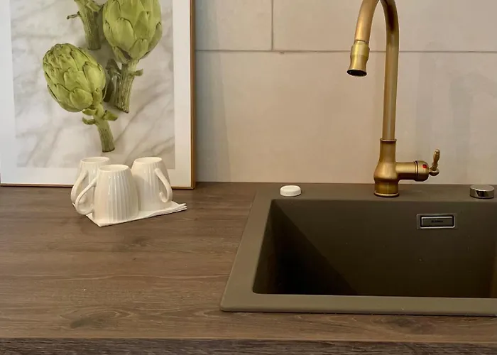 Elster 1, Eg, Neues In Gera, 4 Schlafzimmer, 2 Wcs Und Bad Sowie Terrasse Appartement *